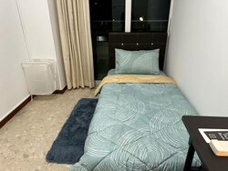 The Floravale (D22), Condominium #501958061